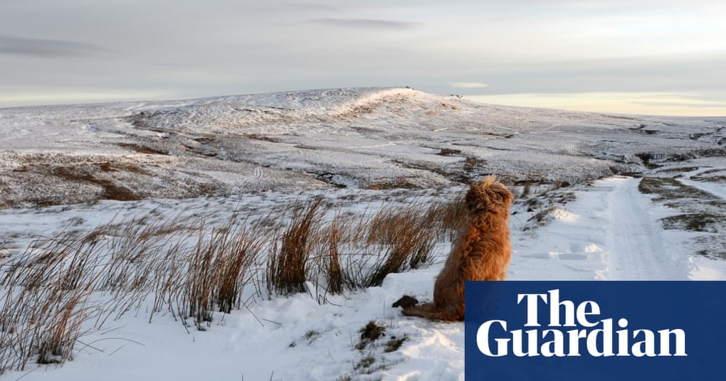 Weather view your February pictures UK news The Guardian