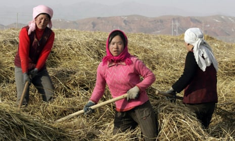 Female farm workers near Zhongning, north-west China. Women make up two-thirds of the rural workforce, but lose out on rights to use land.