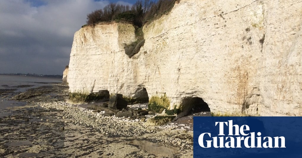 Weather view your February pictures UK news The Guardian