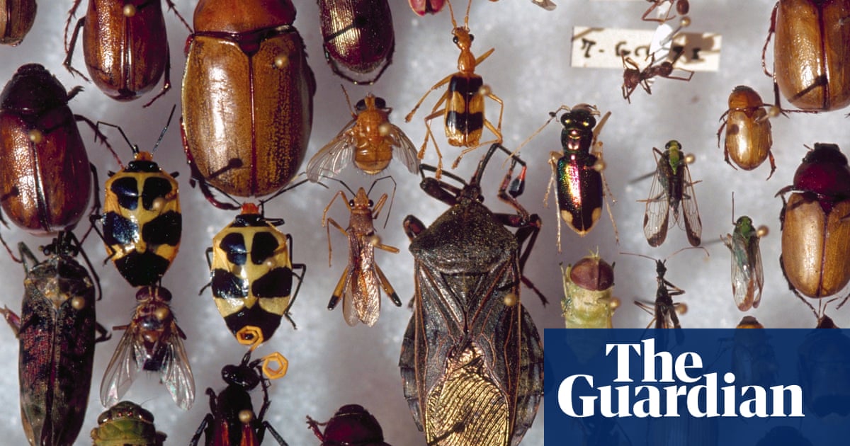 In The Beat Of A Heart By John Whitfield Review Science The Guardian In The Beat Of A Heart By John Whitfield Review Science The Guardian