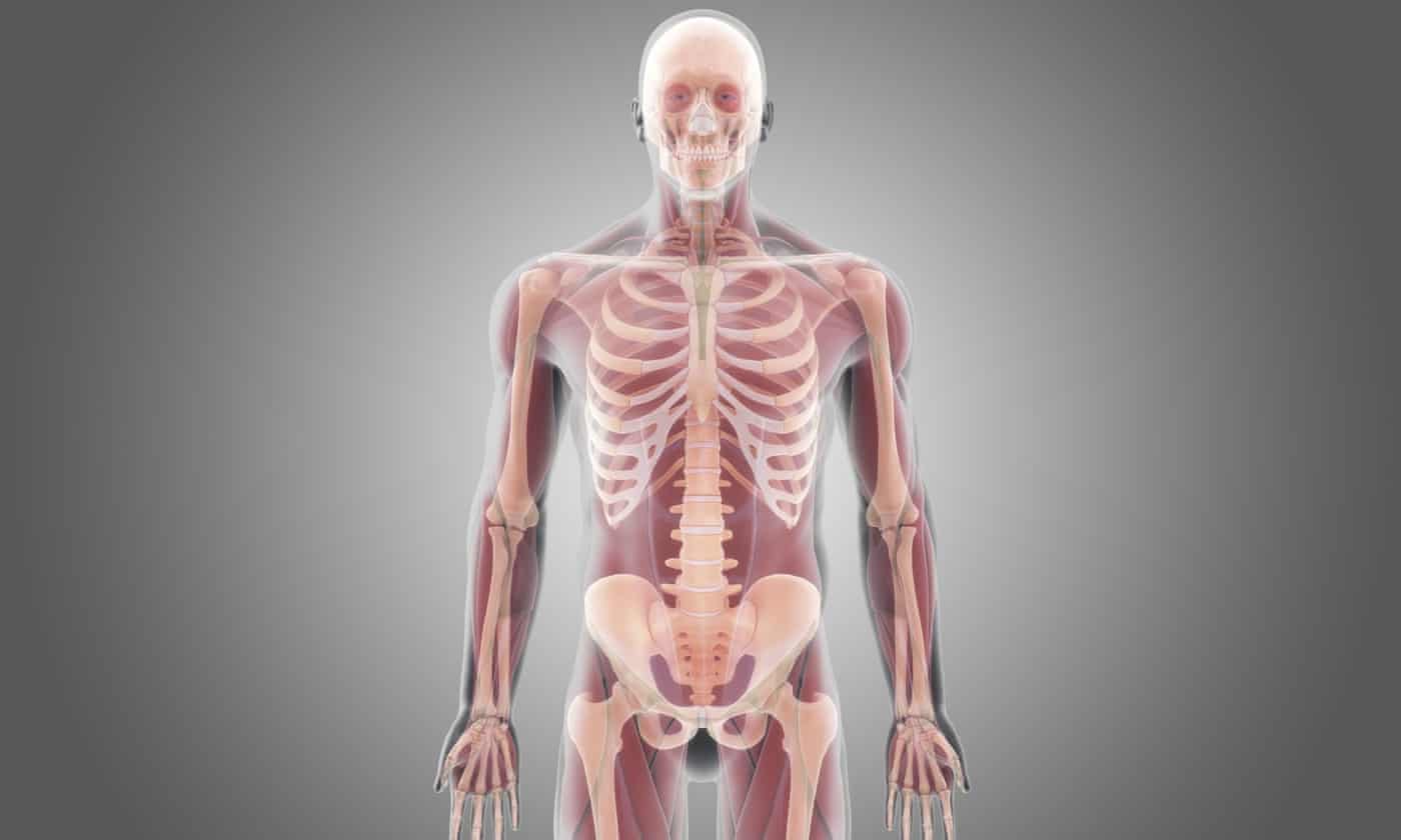 First full body transplant is two years away, surgeon claims