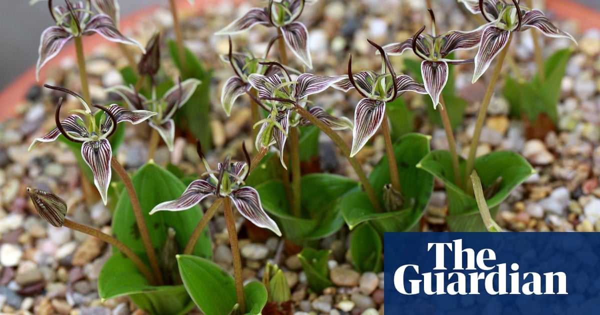 Featured image of post Images Of February Flowers / Every page is different, it never feels like youre coloring the.