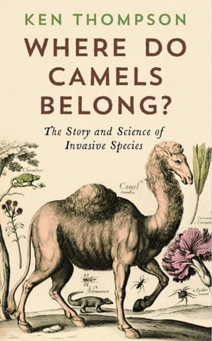 Where do Camels Belong? by Ken Thompson, oddest book title of the year award