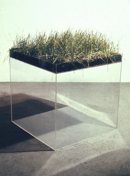 Indifferent Matter exhibiton at the Henry Moore InstituteHans Haacke'Grass Cube'1967Acrylic plastic, earth, fescue grass, water© Hans Haacke / Artist Rights Society(ARS). Courtesy Paula Cooper Gallery, New York