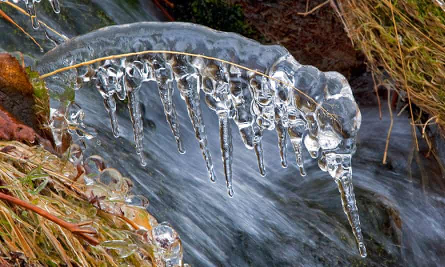 Ammil. . John Macfarlane.jpg