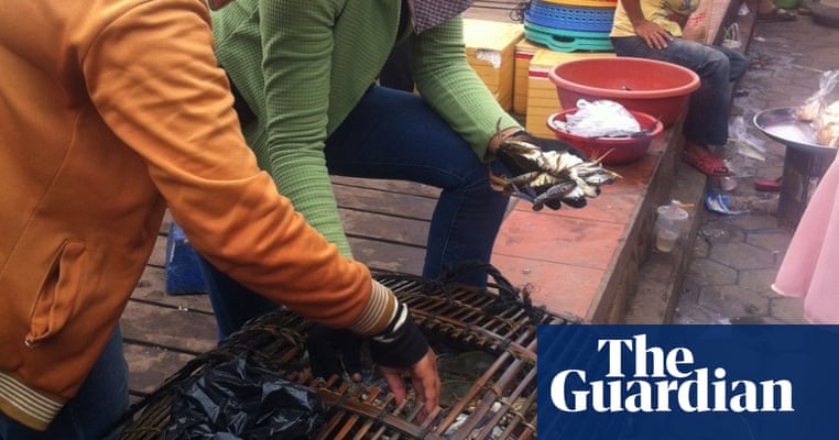 Happy chinese new year! Chinese New Year's celebrations: your photos and experiences | Life and