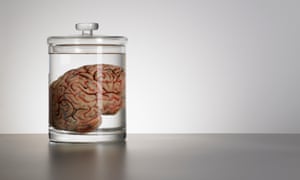 Me My Brain And Hypochondria Is Fear Of Illness A Problem Or A Curious Blessing Society The Guardian