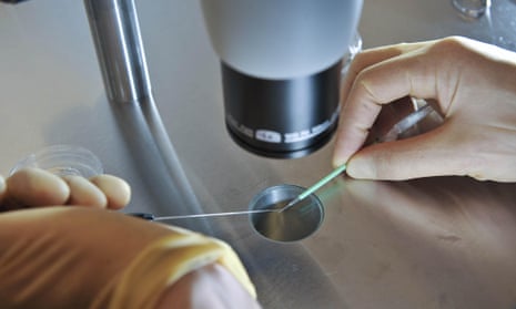 A scientist at work during an IVF procedure. Thousands of women in the US - and their families - could potentially be helped by new IVF techniques aimed at curbing inherited mitochondrial diseases. So why isn’t the research allowed to enter clinical trials?