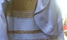 The dress quandary: 'It's an illusion. But everything is an illusion' | Internet | The Guardian The dress quandary: 'It's an illusion. But everything is an illusion' | Internet | The Guardian