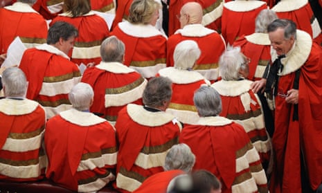 Peers at the State Opening of Parliament