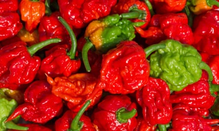 Carolina Reaper, the hottest chillies in the world according to Guinness World Records