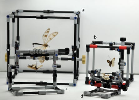 Insect manipulators of the LEGO variety