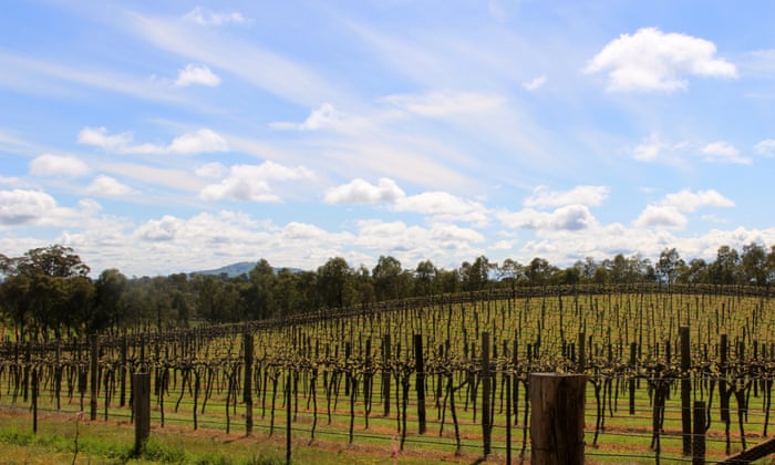 Organic winery near me best sale