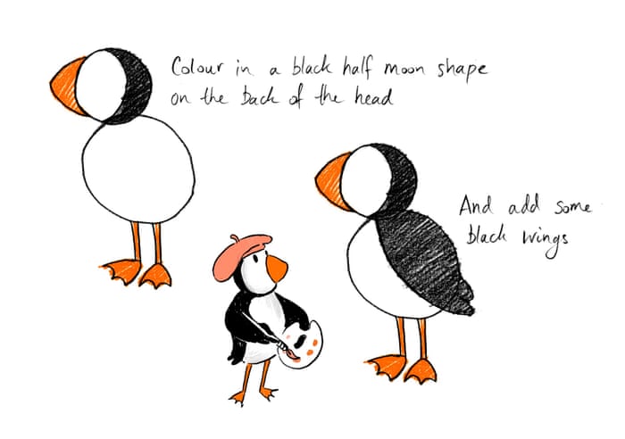 Featured image of post How To Draw A Puffin How to draw a penguin s body