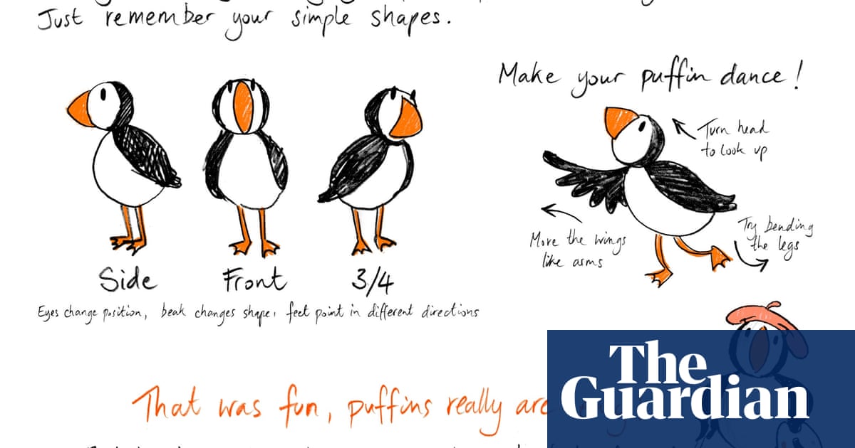 Featured image of post Puffin Drawing 3024 x 3024 jpeg 988