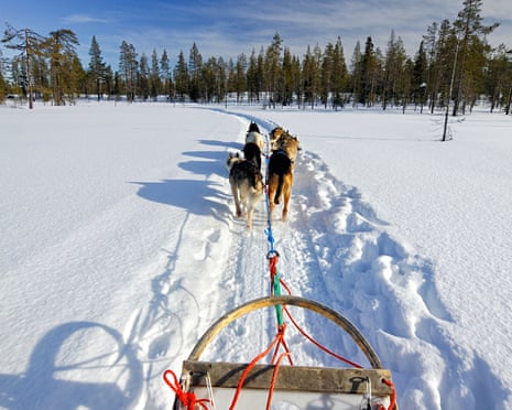 Dog sled team Finland