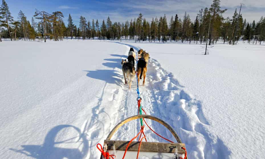 Dog sled team Finland
