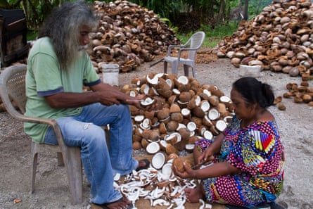 Torrak Anton and his wife Nelly harvest copra on the atoll of Arno. Copra is the dried meat of coconuts, and is the only source of income for many of the people living in the outer islands. In the northern atolls, copra has been severely affected by drought and the 2014 harvest was significantly lower than normal.