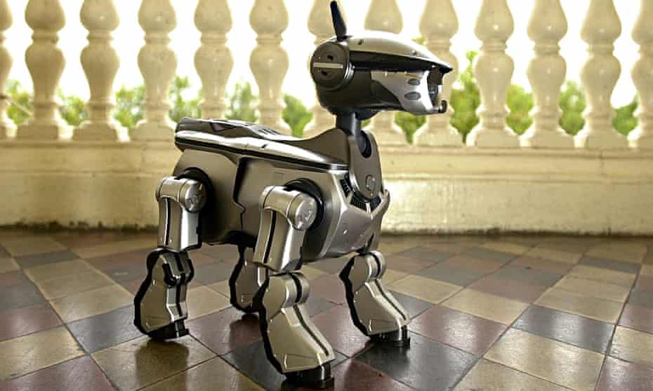 A Sony Aibo robot dog