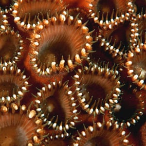 winorama 7 € bonus