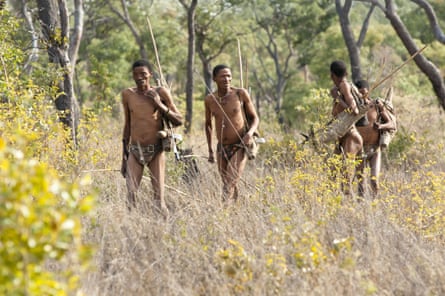 Kalahari !Kung bushman on a hunter-gatherer expedition.