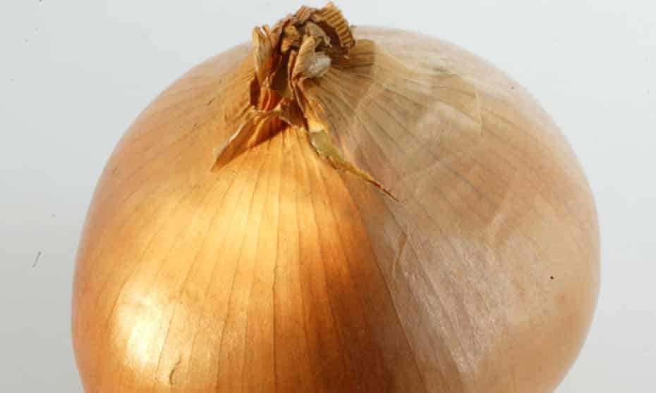 Tony Abbott Eats A Raw Onion Tony Abbott The Guardian