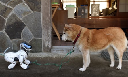 Automated dog versus its original.