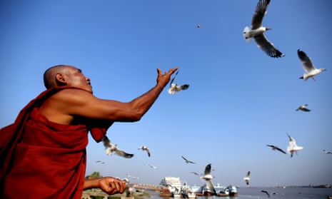A Buddhist monk feeds seagulls at Botataung jetty in Rangoon, Burma.