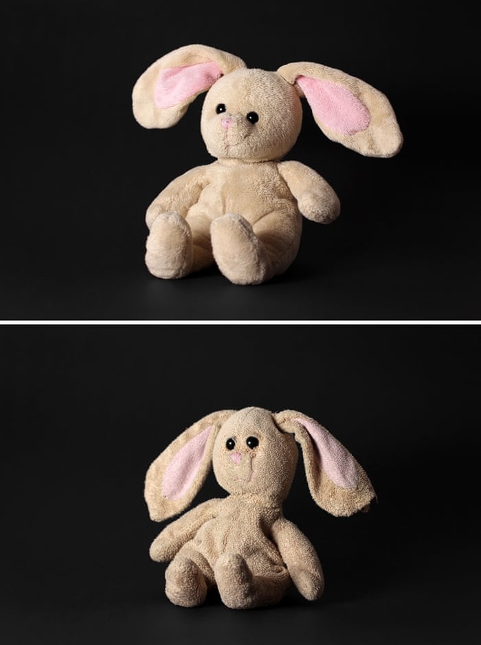 Too much love for soft toys in pictures | Toys | The Guardian Too much love for soft toys in pictures | Toys | The Guardian