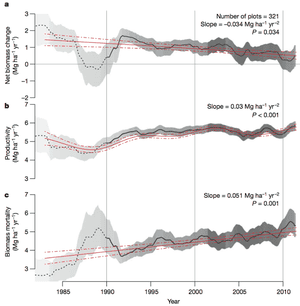 Amazon graphs