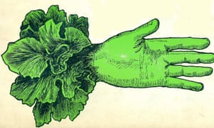 Book cover illustation.