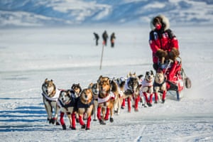 Aliy Zirkle mushes into the Unalakleet checkpoint in second place. Aaron Burmeister was the first musher to reach Unalakleet, the first checkpoint on the Bering Sea coast