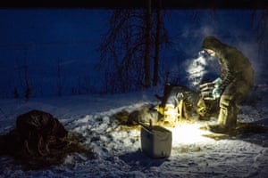 Bethel musher Peter Kaiser feeds his dogs in the Tanana checkpoint