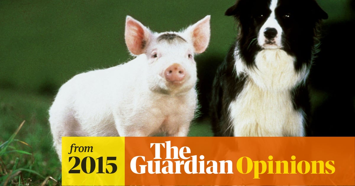 The film that makes me cry: Babe | The film that makes me cry | The Guardian The film that makes me cry: Babe | The film that makes me cry | The Guardian