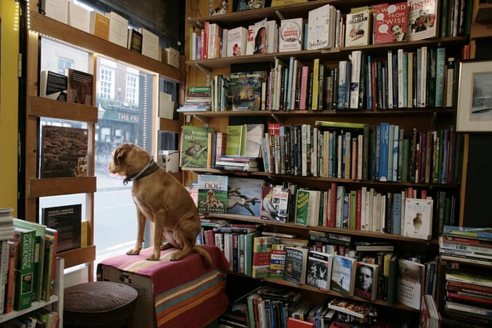 Is This The Final Chapter For London S Independent Bookshops