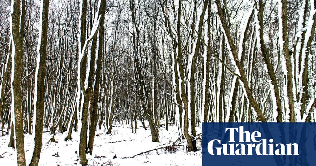 Weather view your March pictures UK news The Guardian
