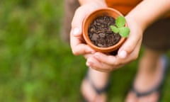 Boy holding a potted plant