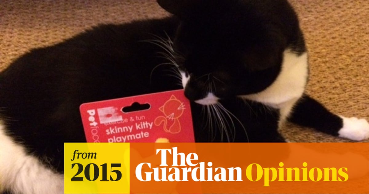 Our Pets Are Getting Too Fat As I Found Out Indulging Them Can Have Serious Consequences Animal Welfare The Guardian