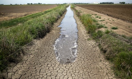 Irrigation water runs along a dried-up ditch between rice farms in Richvale, California.