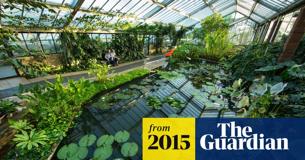 Kew Gardens Funding Is Recipe For Failure Warn Mps Science