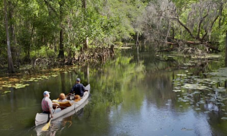 Canoeing in the Hillsborough River, Florida