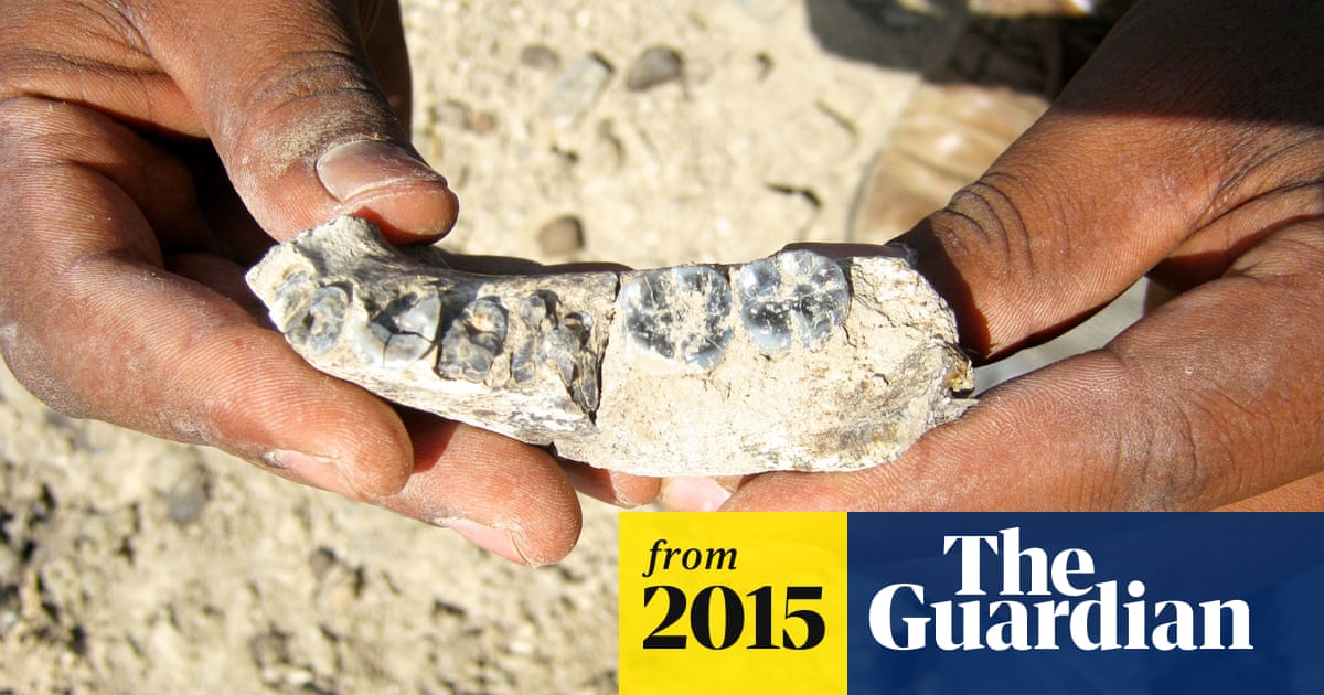 Jaw bone fossil discovered in Ethiopia is oldest known human lineage remains