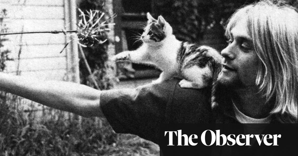Who Knew Kurt Cobain Was That Funny Music The Guardian