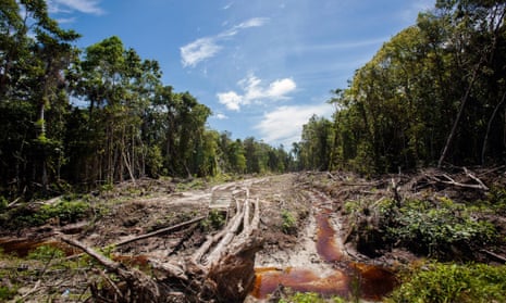 In this photograph taken on September 7, 2013, an access road is constructed in a peatland forest being cleared for a palm oil plantation in Trumon subdistrict, Aceh province, on Indonesia's Sumatra island.