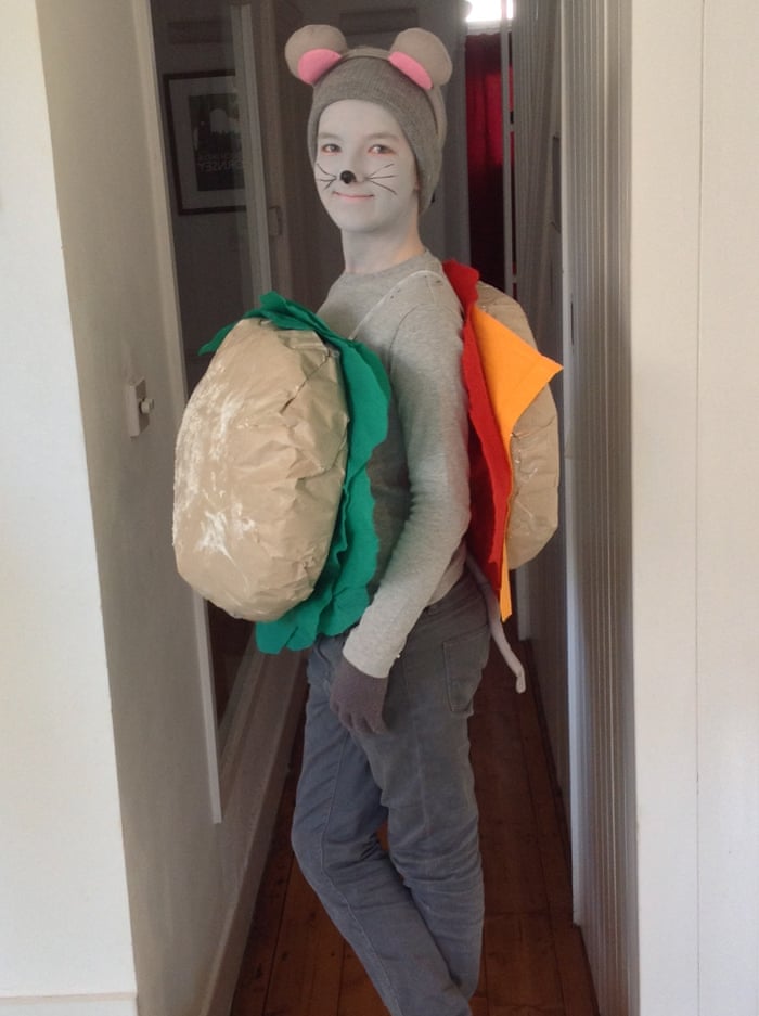 Room On The Broom Cat Costume