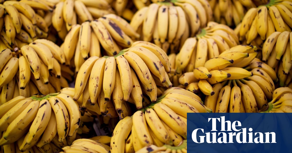 crossword roundup bananas in race and comedy crosswords the guardian