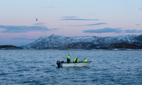 Cod fishing off the coast of Norway, in the Arctic circle