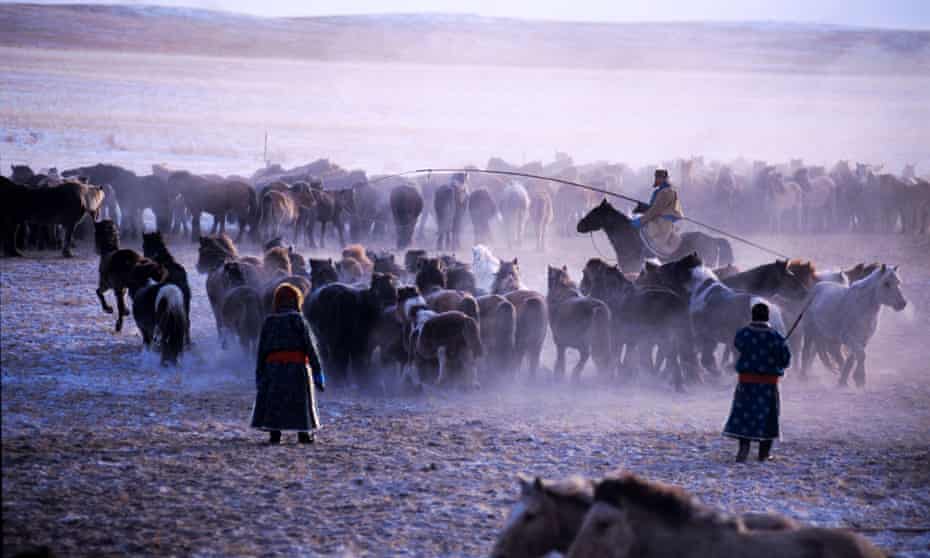 Mongolia herders