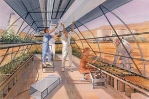 Fig. 9 Greenhouse agriculture on Mars