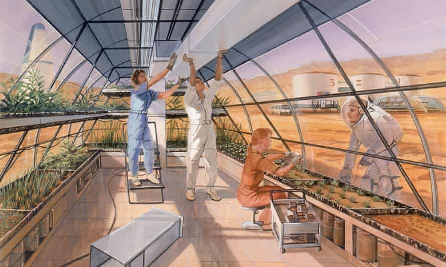 an impression of a greenhouse on Mars.
